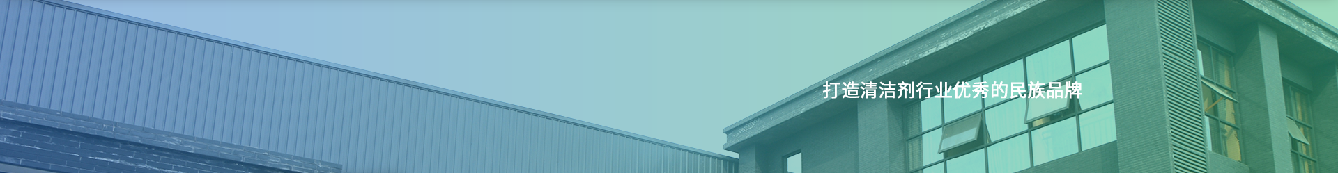 banner-img3