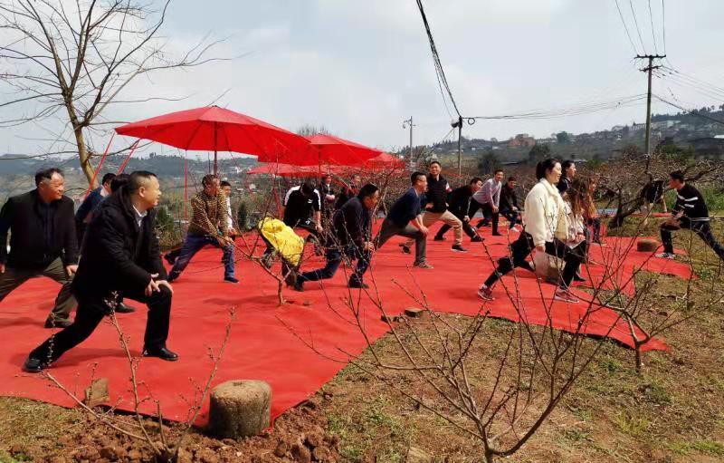 微信图片_20190313150513